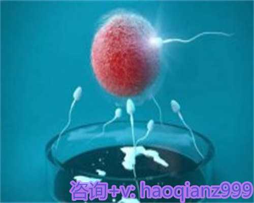 广州供卵代孕危害（广州供卵代怀攻略）