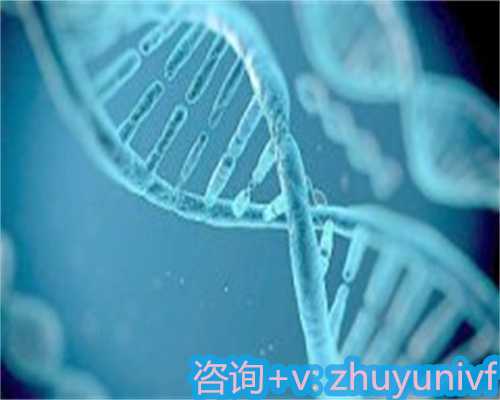 东莞代怀包成功+国内借卵试管婴儿,成都哪个医院可以做胎儿亲子鉴定_广州有哪