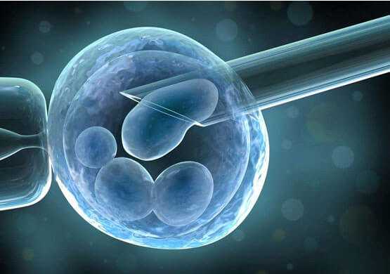 试管冻胚移植前两天可以打免疫球蛋白吗？