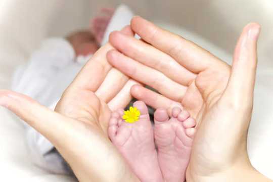 东莞捐卵供卵交流群-怀孕后老是肚子疼怎么回事