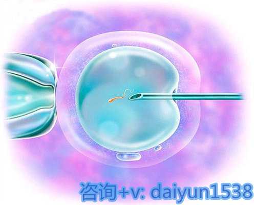 汕头供卵政策，糖尿病人可以吃荠菜吗