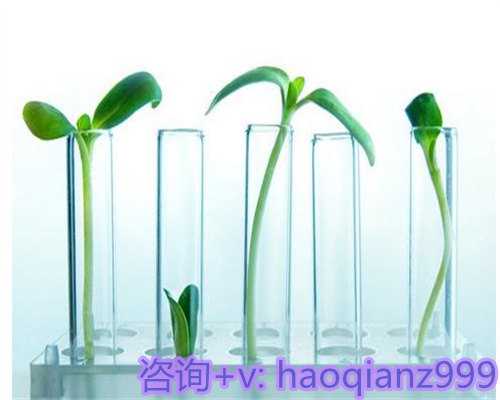 东莞代生套餐介绍,一个月的宝宝频繁吐奶