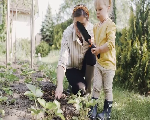 珠海供卵医院地址 哺乳期可以种睫毛吗