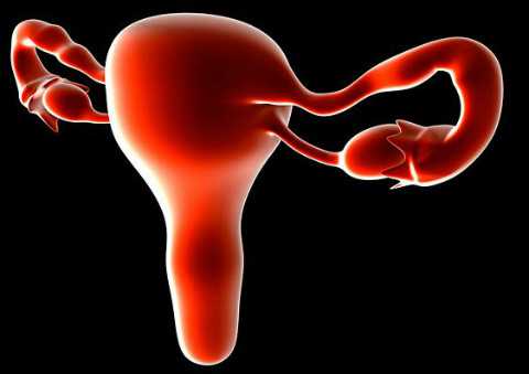 <strong>东莞供卵的机构有几家+最正规代孕机构,用亲子鉴定可以上户口吗_郑州那个医院</strong>