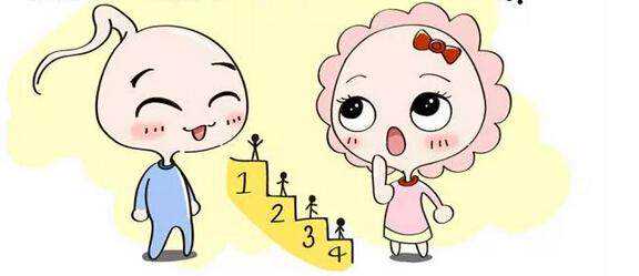 广东助孕加捐卵多少钱 中医治疗无精症的方式介绍,中医治疗无精症的几率大吗